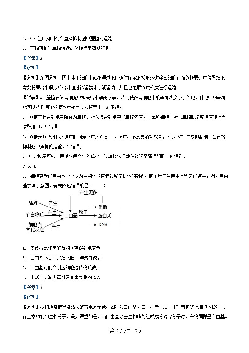 四川省绵阳市2026届高三生物上学期期中试卷含解析第2页