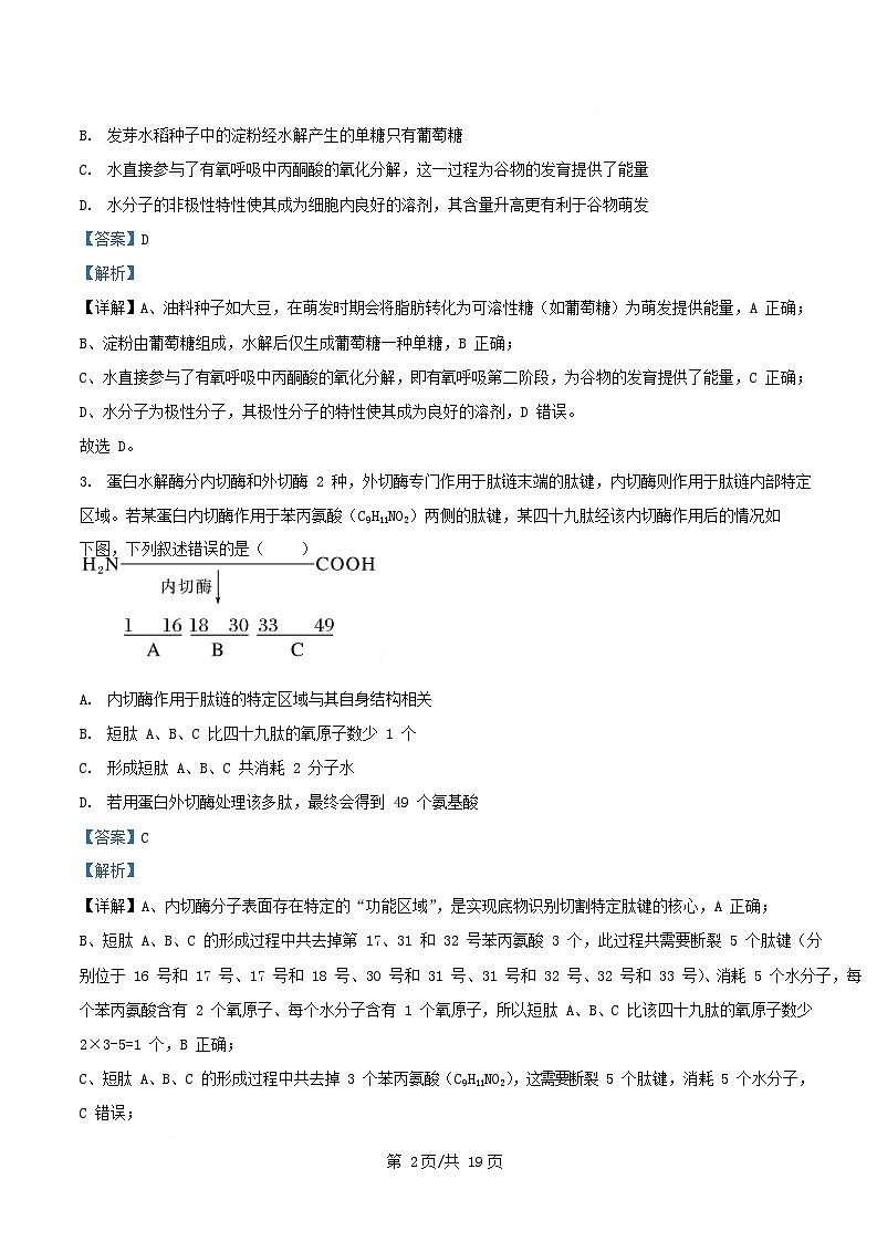 四川省绵阳市涪城区2026届高三生物上学期10月月考试题含解析第2页
