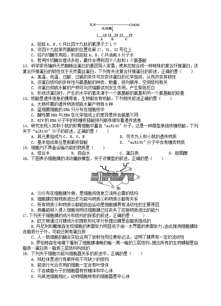 四川省南充市2025_2026学年高一生物上学期10月月考试题第3页