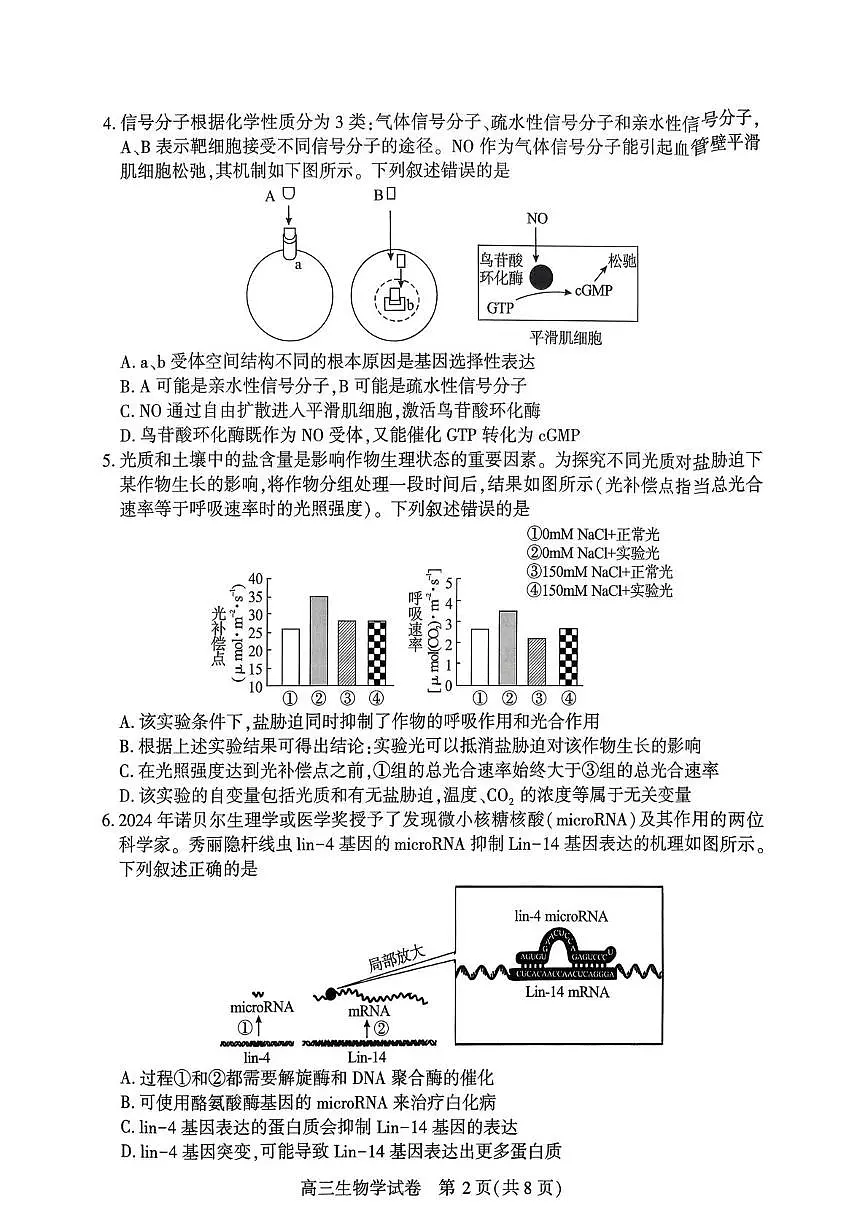 2026届湖北省荆州市高三上学期1月一模生物试题（高考模拟）第2页