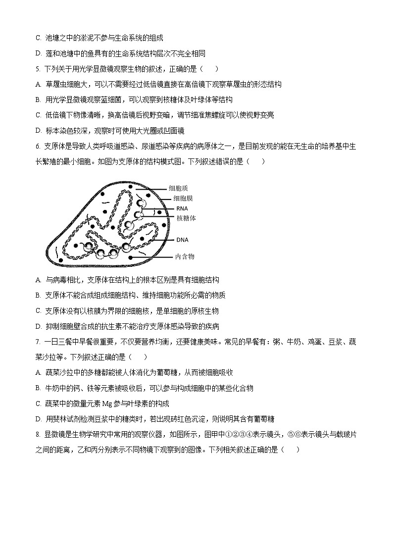 四川省南充高级中学2024-2025学年高一上学期第一次月考试题 生物 Word版含答案第2页