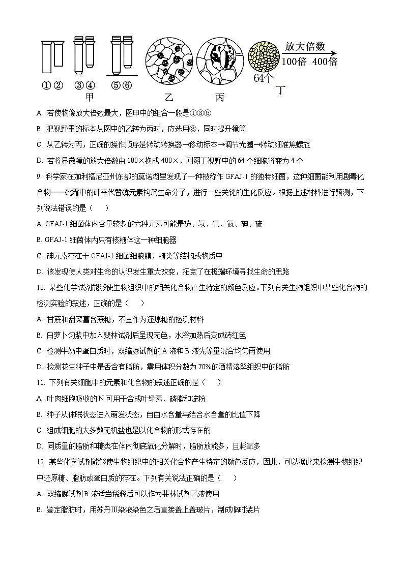 四川省南充高级中学2024-2025学年高一上学期第一次月考试题 生物 Word版含答案第3页
