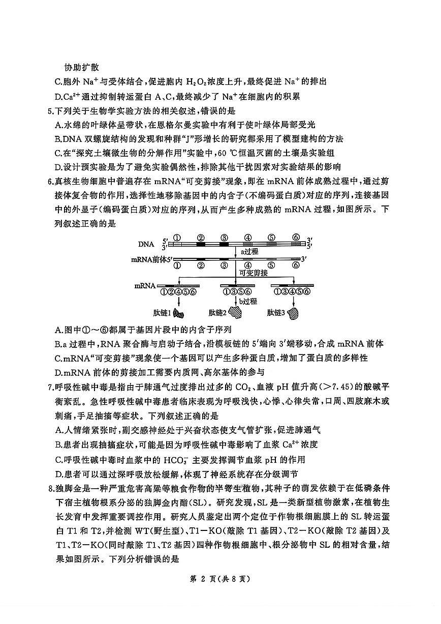 生物-河北省2025-2026学年第一学期高三上学期1月检测试卷及答案第2页