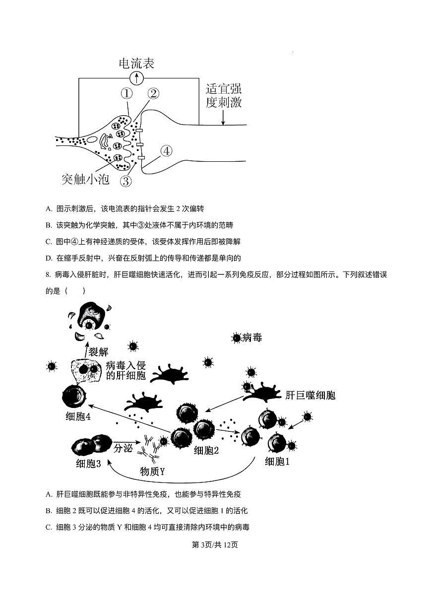 生物-黑龙江哈尔滨六中2026届高三上学期1月期末考试卷及答案第3页