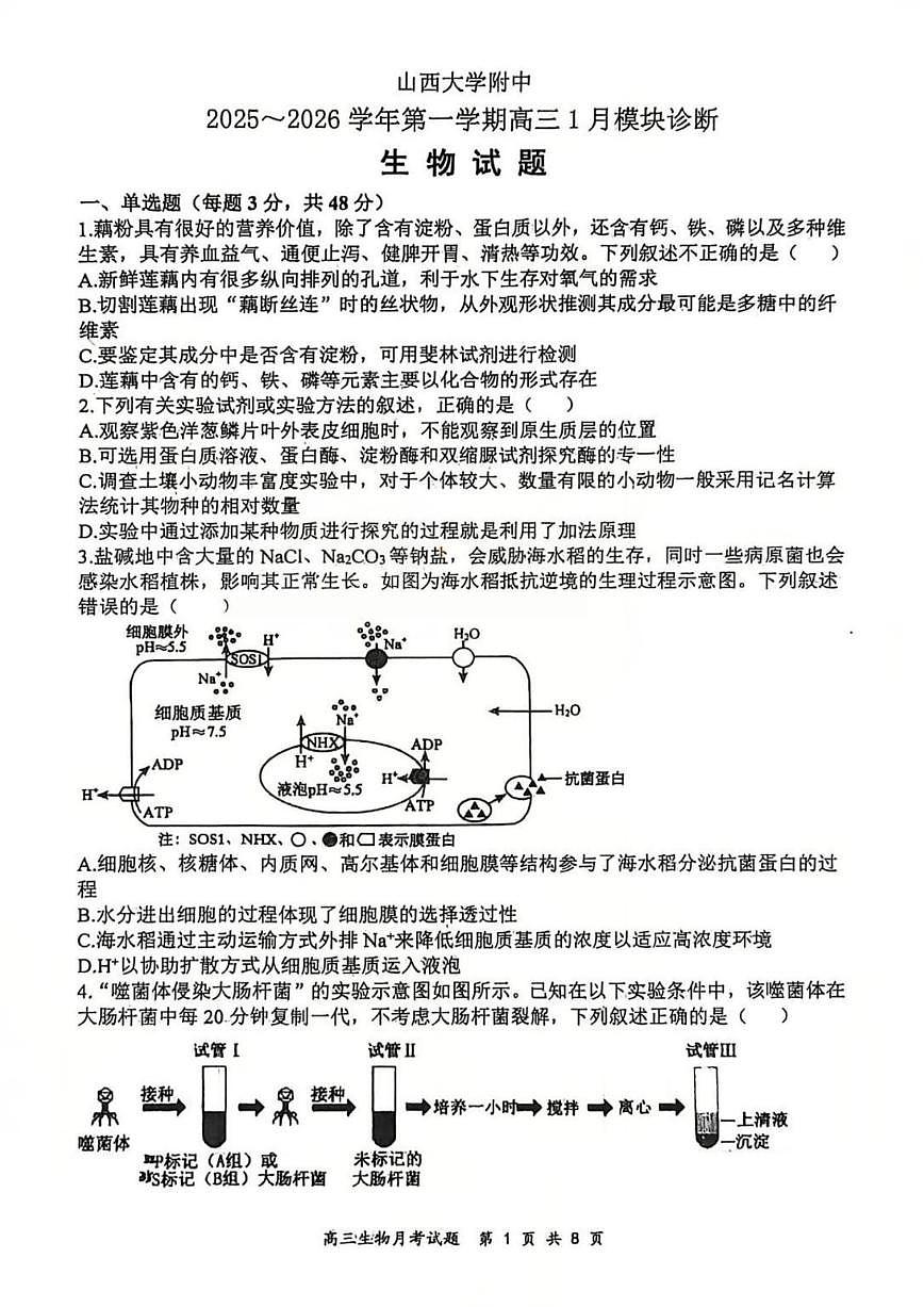 生物-山西大学附中2025-2026学年高三上学期1月月考试卷及答案第1页