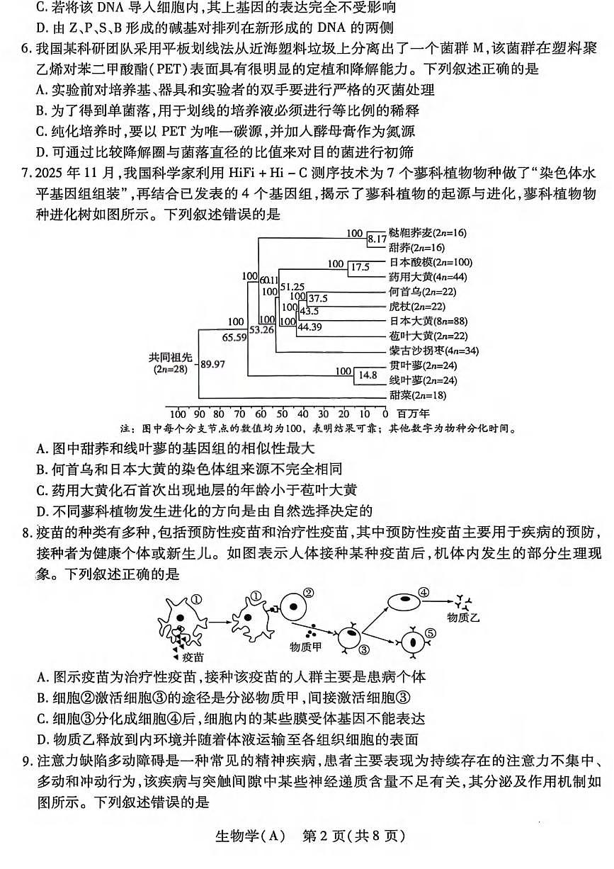生物丨山西省四省联考2026届高三上学期1月考试试卷及答案第2页