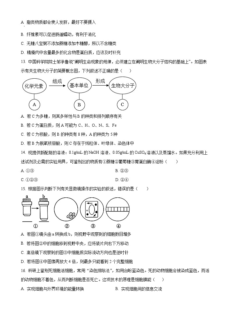 天津市红桥区2024-2025学年高一上学期期中考试生物试卷  Word版无答案(1)第3页