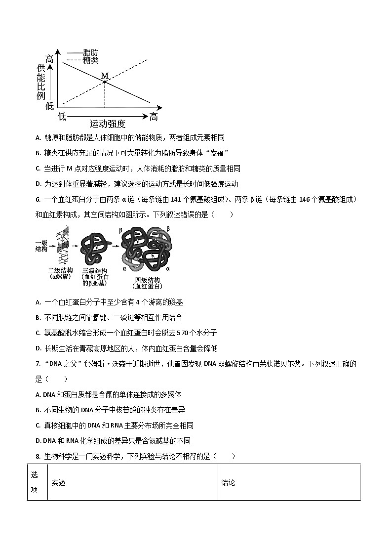 河南省TOP二十名校2025-2026学年高一上学期12月调研考试生物试卷（Word版附答案）第2页