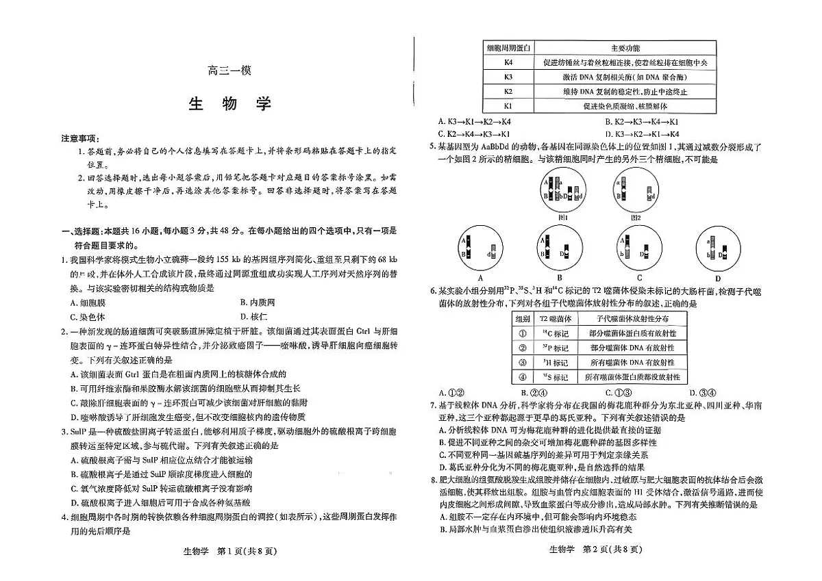 2026届河南省新乡市、鹤壁市、安阳市、焦作市高三一模-生物第1页