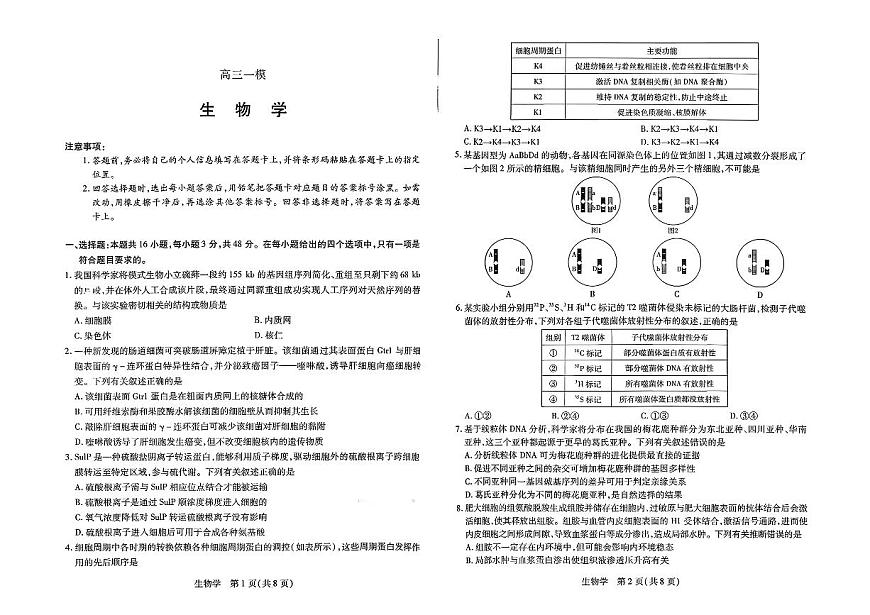 2026届河南省新乡市、鹤壁市、安阳市、焦作市高三一模-生物第1页