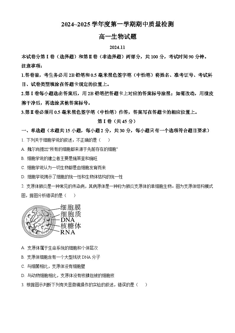 山东省枣庄市滕州市2024-2025学年高一上学期11月期中生物试题  Word版无答案第1页