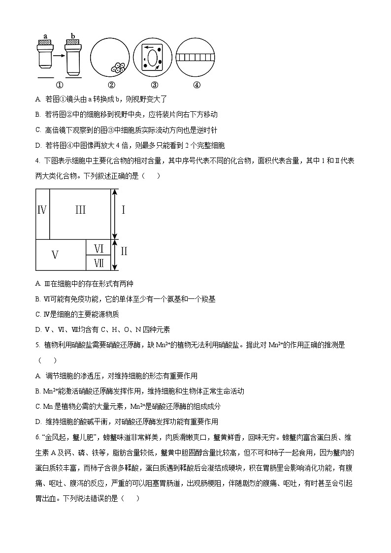 山东省枣庄市滕州市2024-2025学年高一上学期11月期中生物试题  Word版无答案第2页