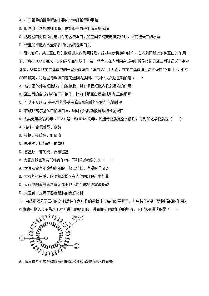 山东省枣庄市滕州市2024-2025学年高一上学期11月期中生物试题  Word版无答案第3页