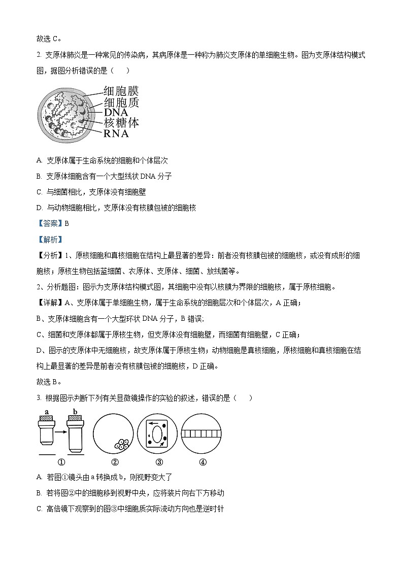 山东省枣庄市滕州市2024-2025学年高一上学期11月期中生物试题  Word版含解析第2页