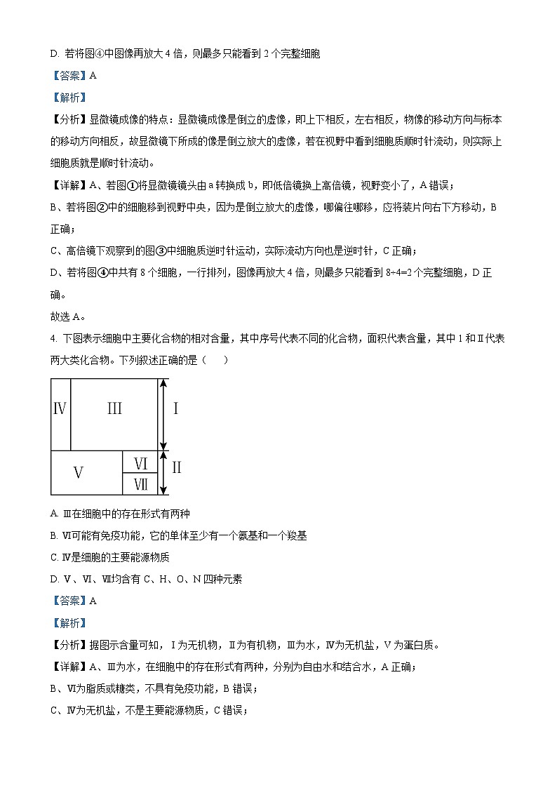 山东省枣庄市滕州市2024-2025学年高一上学期11月期中生物试题  Word版含解析第3页
