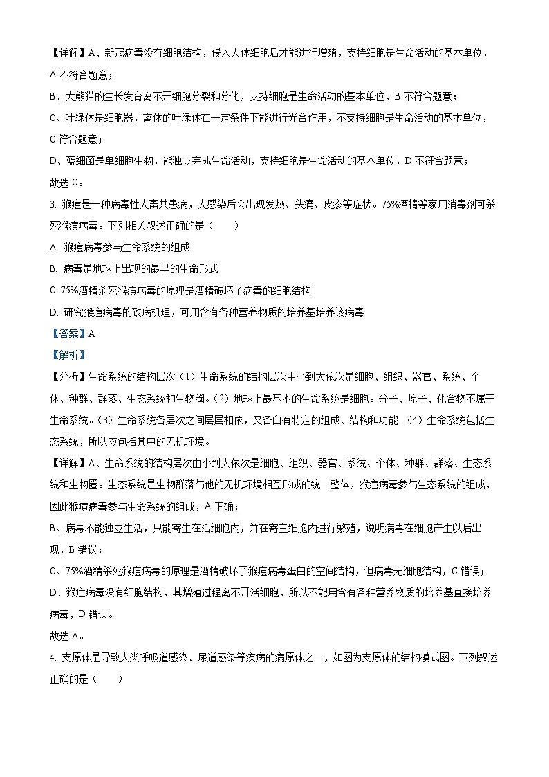 精品解析：四川省成都市树德中学2024-2025学年高一上学期10月月考生物试题（解析版）第2页