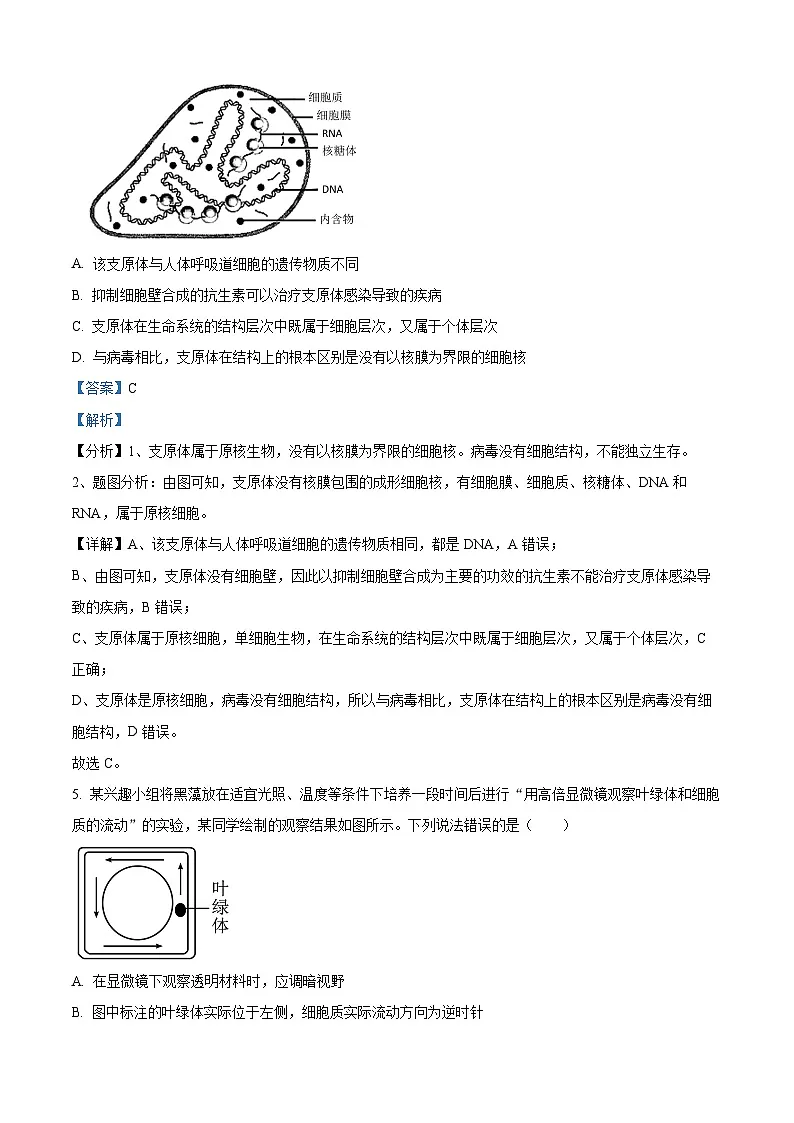 精品解析：四川省成都市树德中学2024-2025学年高一上学期10月月考生物试题（解析版）第3页