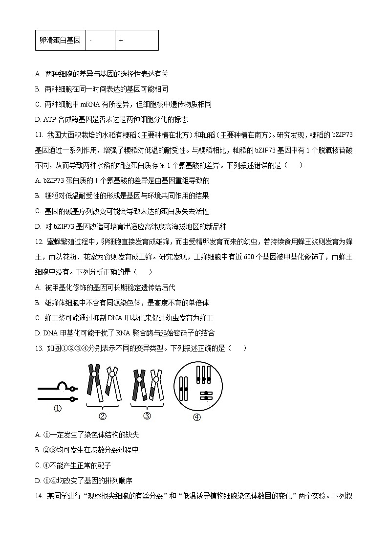 精品解析：山西省太原市2023-2024学年高一下学期7月期末生物试题（原卷版）第3页