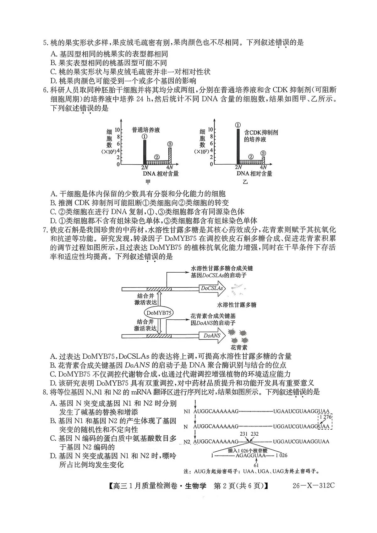 生物试卷-卓越联盟2025-2026学年高三1月质量检测第2页