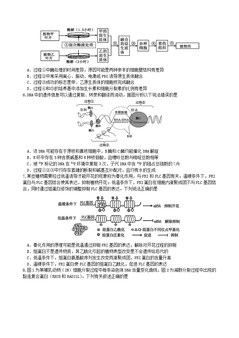四川省绵阳市2025_2026学年高三生物上学期9月月考试题第2页