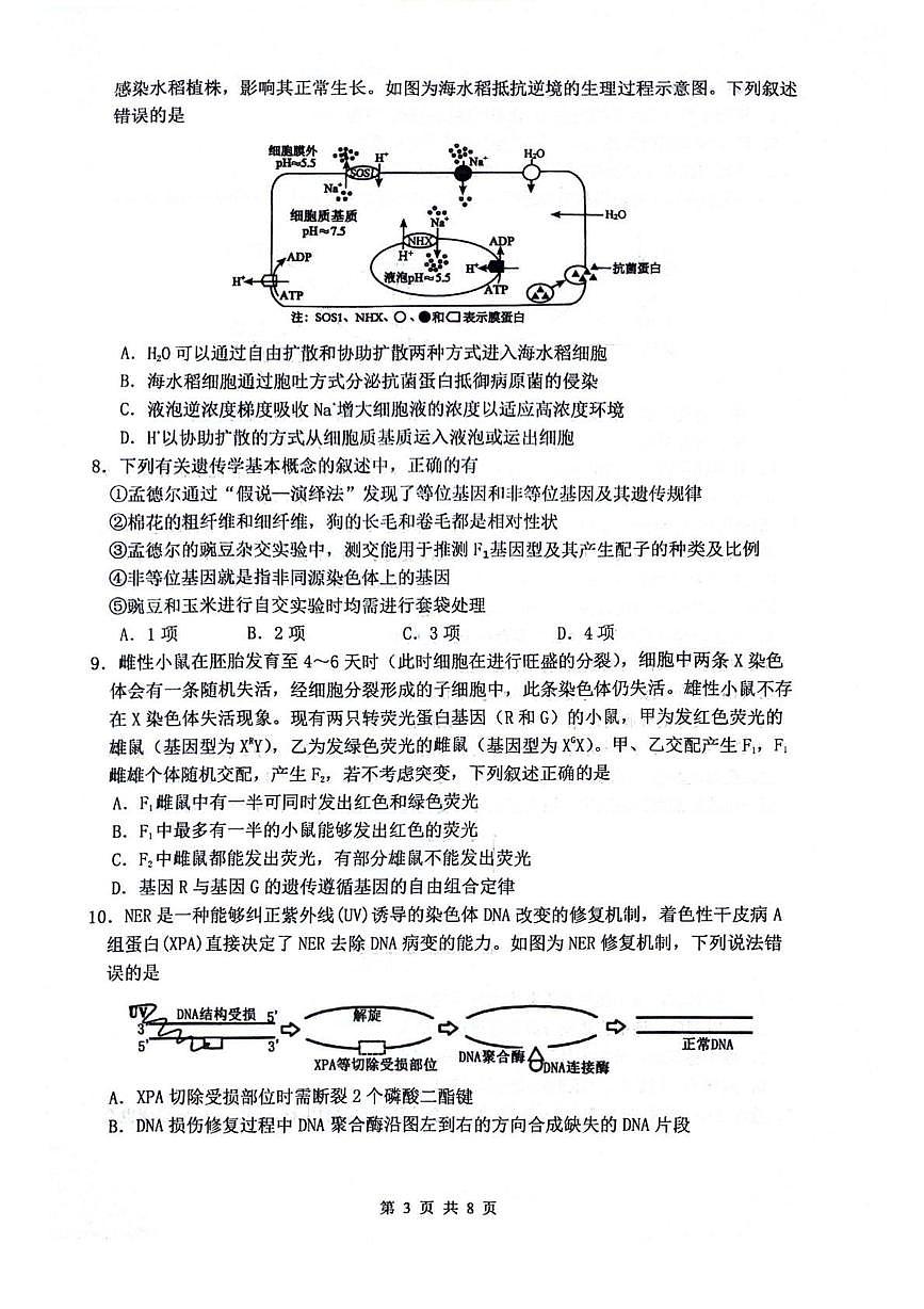 四川省绵阳市2025_2026学年高三生物上学期9月月考试题pdf含解析第3页