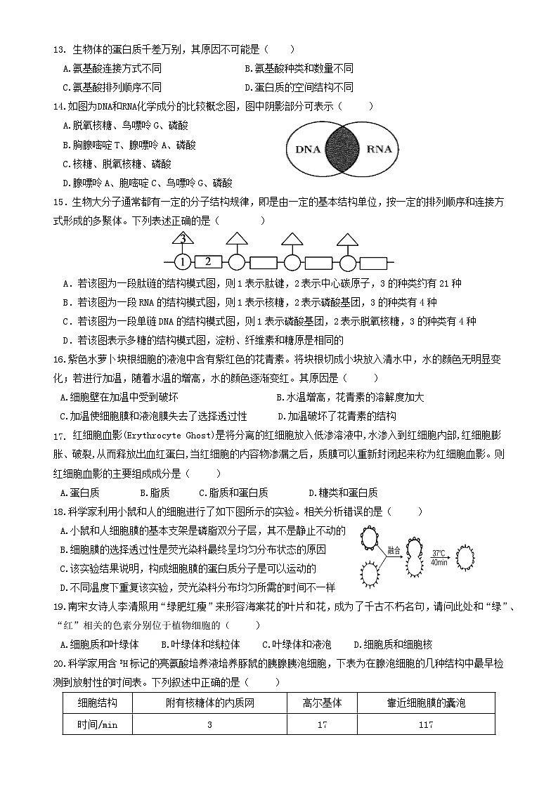 福建省福州金桥高中高一上学期期中考试生物试题-A4第3页