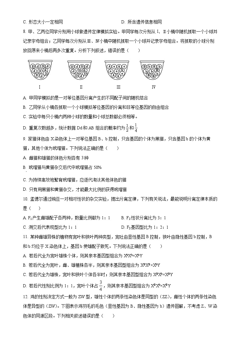 高一下学期3月月考生物试题-A4第2页