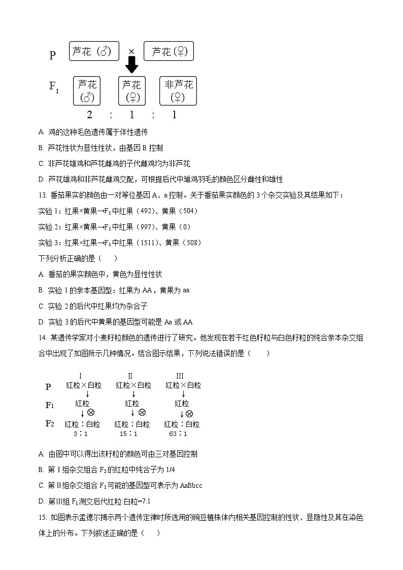 高一下学期3月月考生物试题-A4第3页