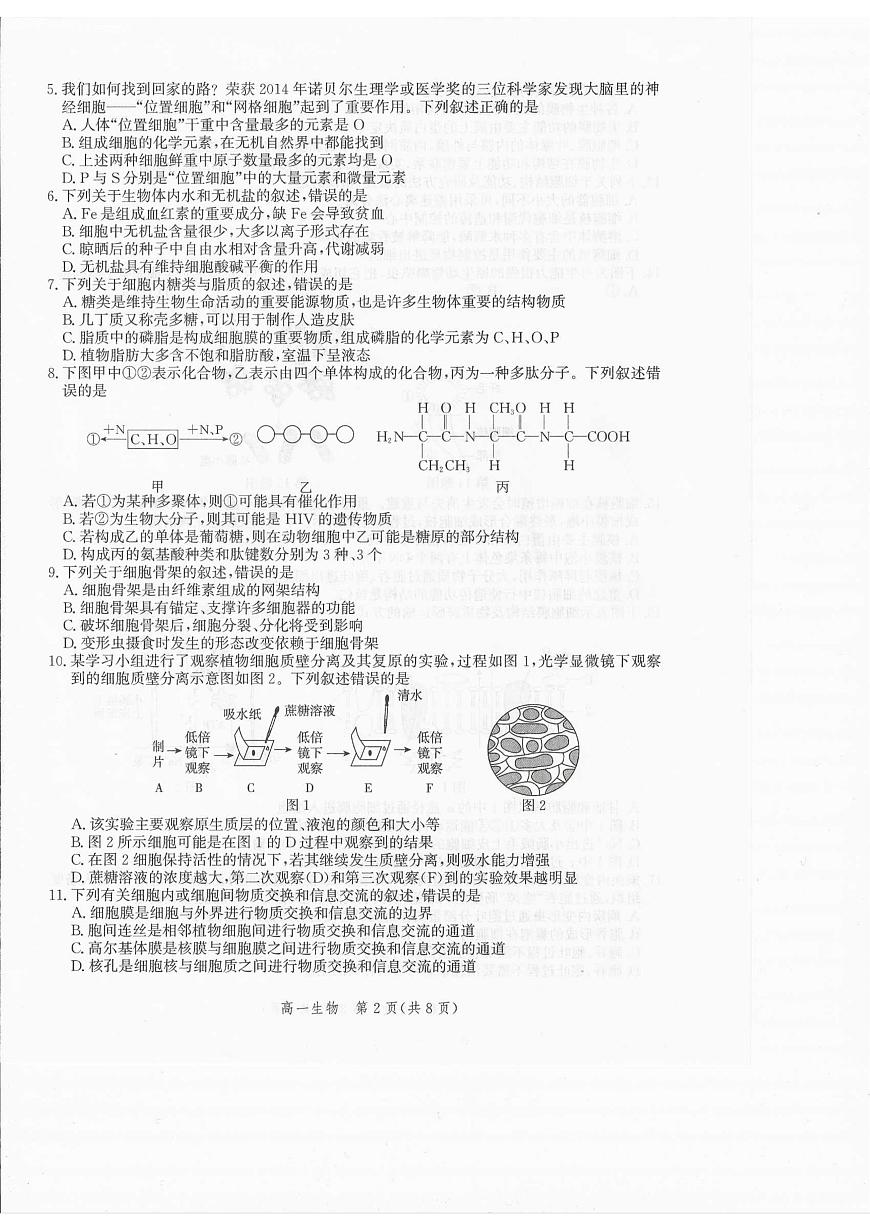 河北省张家口市2025-2026学年高一上学期1月期末生物试题第2页