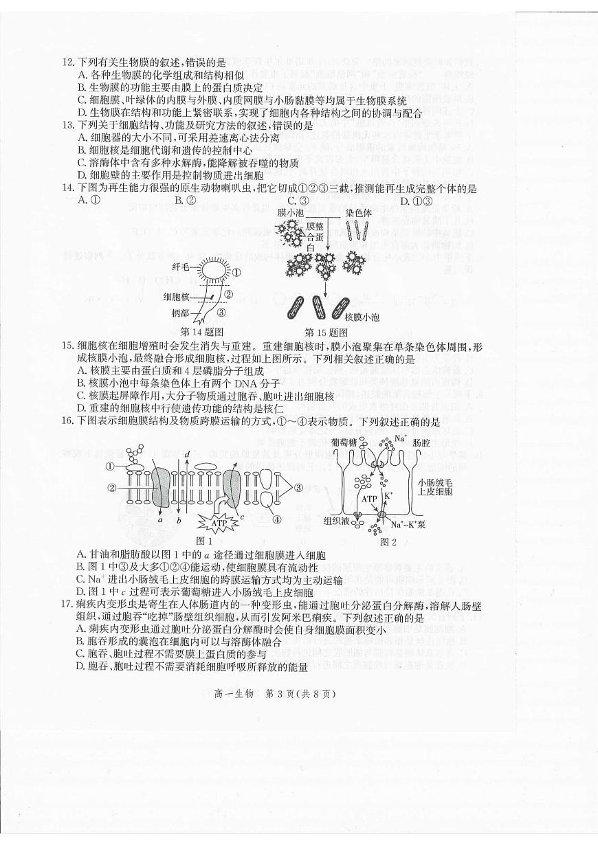 河北省张家口市2025-2026学年高一上学期1月期末生物试题第3页