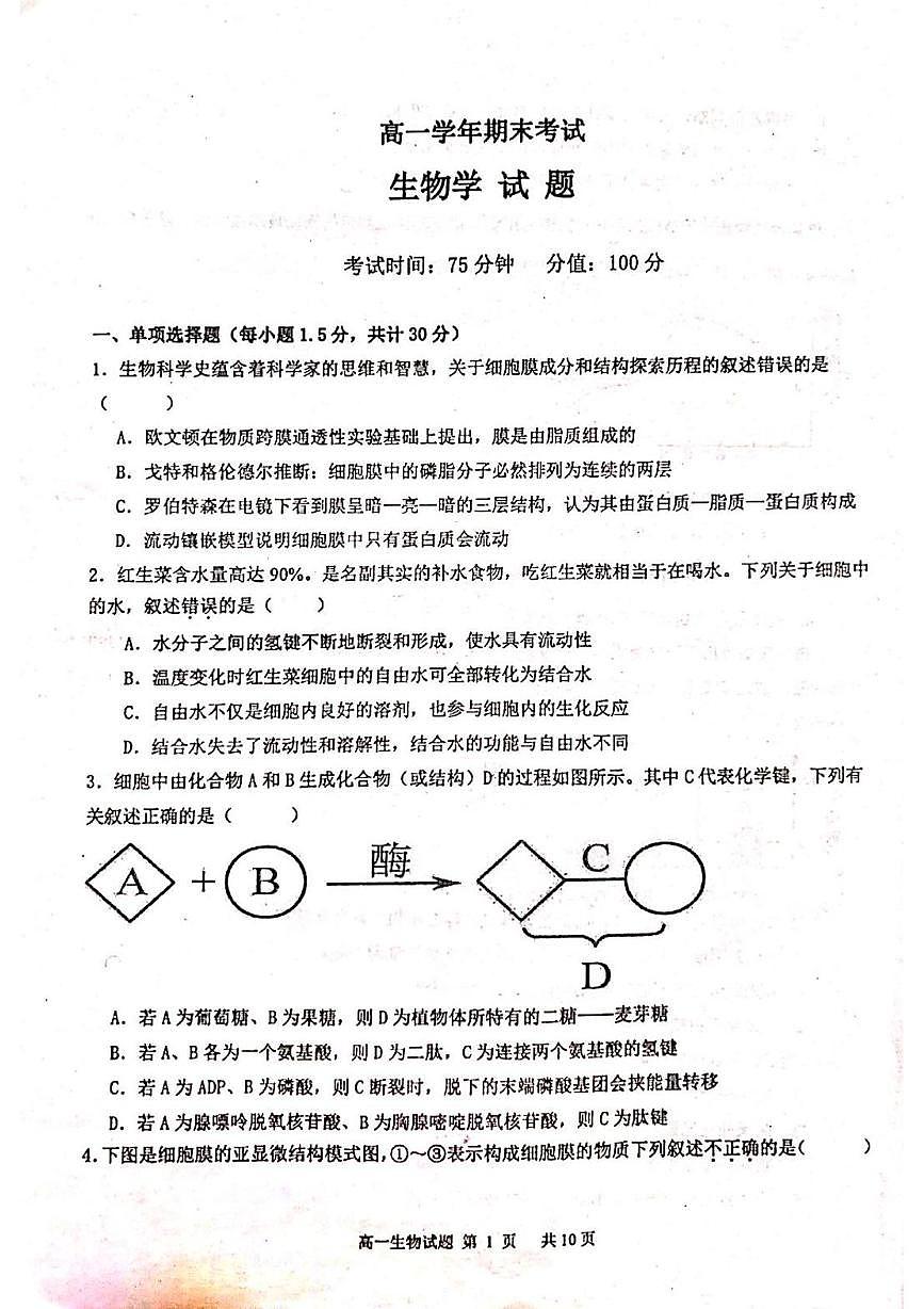 黑龙江省牡丹江市名校协作体2025-2026学年高一上学期1月期末生物试题第1页