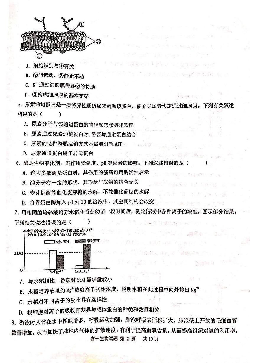 黑龙江省牡丹江市名校协作体2025-2026学年高一上学期1月期末生物试题第2页