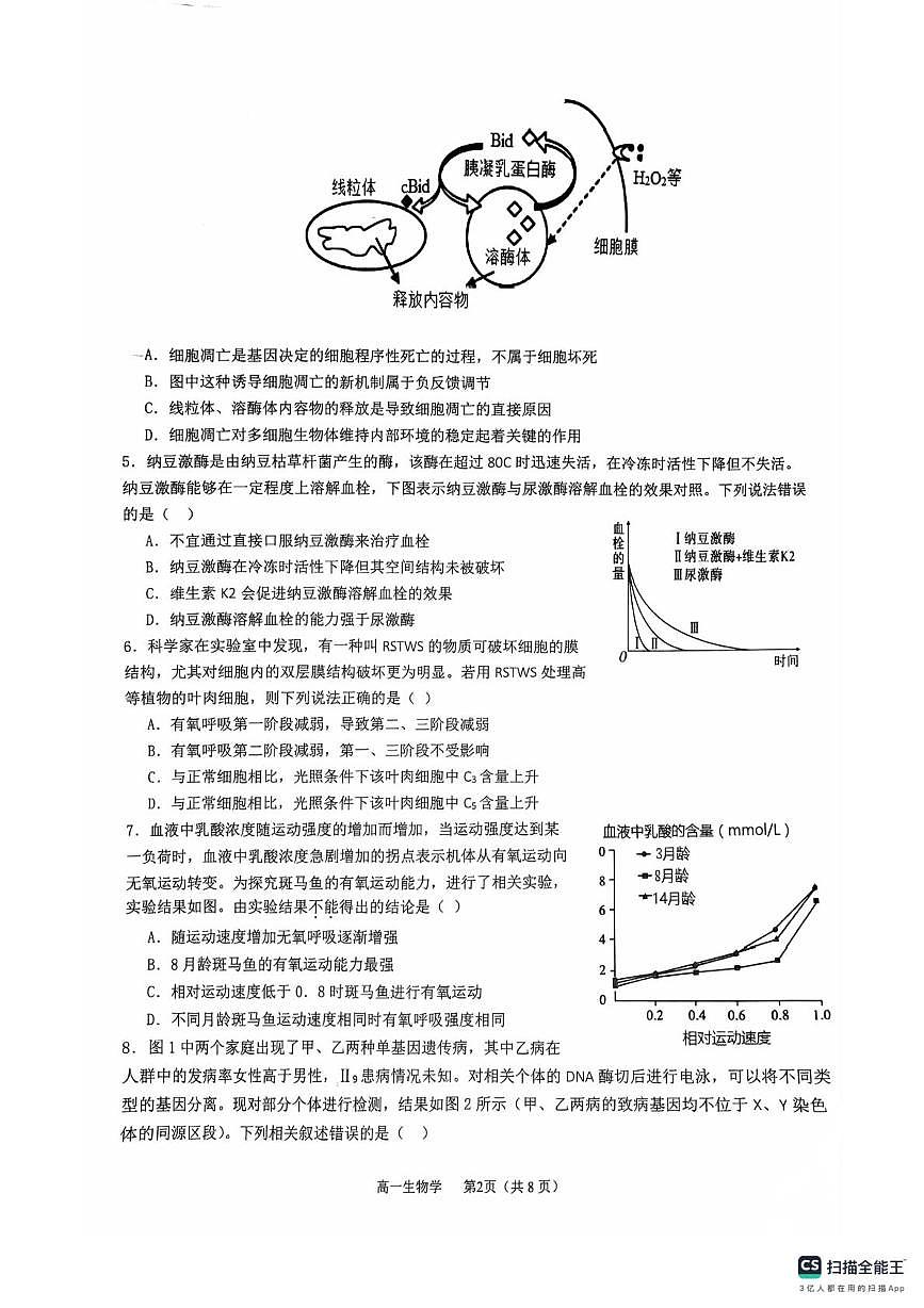 湖南省衡阳市衡阳县2025-2026学年高一上学期1月期末生物试题第2页