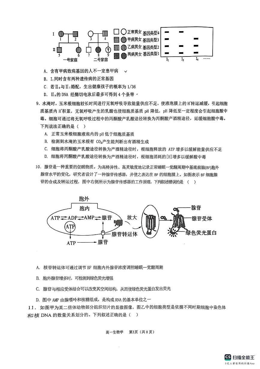 湖南省衡阳市衡阳县2025-2026学年高一上学期1月期末生物试题第3页