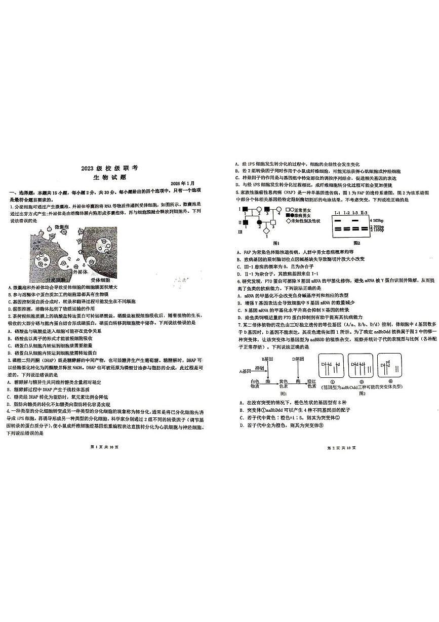 山东省德州市六校联考2025-2026学年高三上学期1月期末生物试题第1页