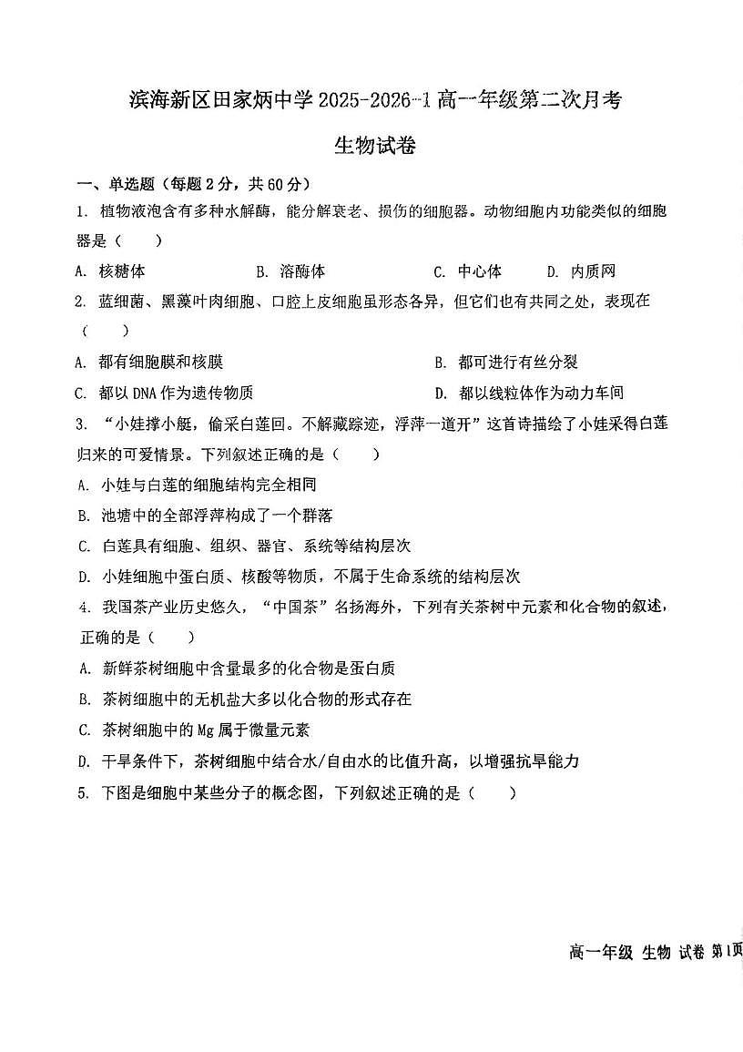 天津市滨海新区田家炳中学2025-2026学年高一上学期第二次月考生物试卷（月考）第1页