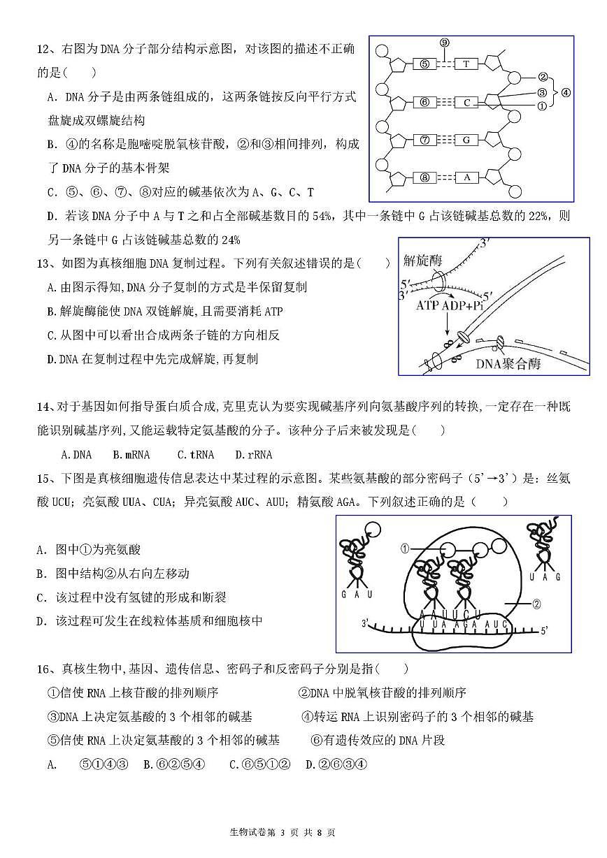 天津市武清区天和城实验中学2023-2024学年高一下学期第二次月考生物试题（月考）第3页