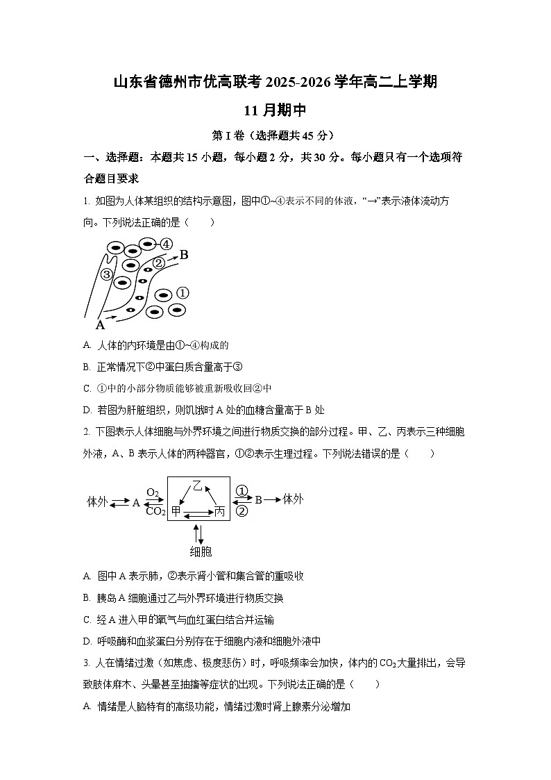 2025-2026学年山东省德州市优高联考高二上学期11月期中生物试卷（学生版）第1页