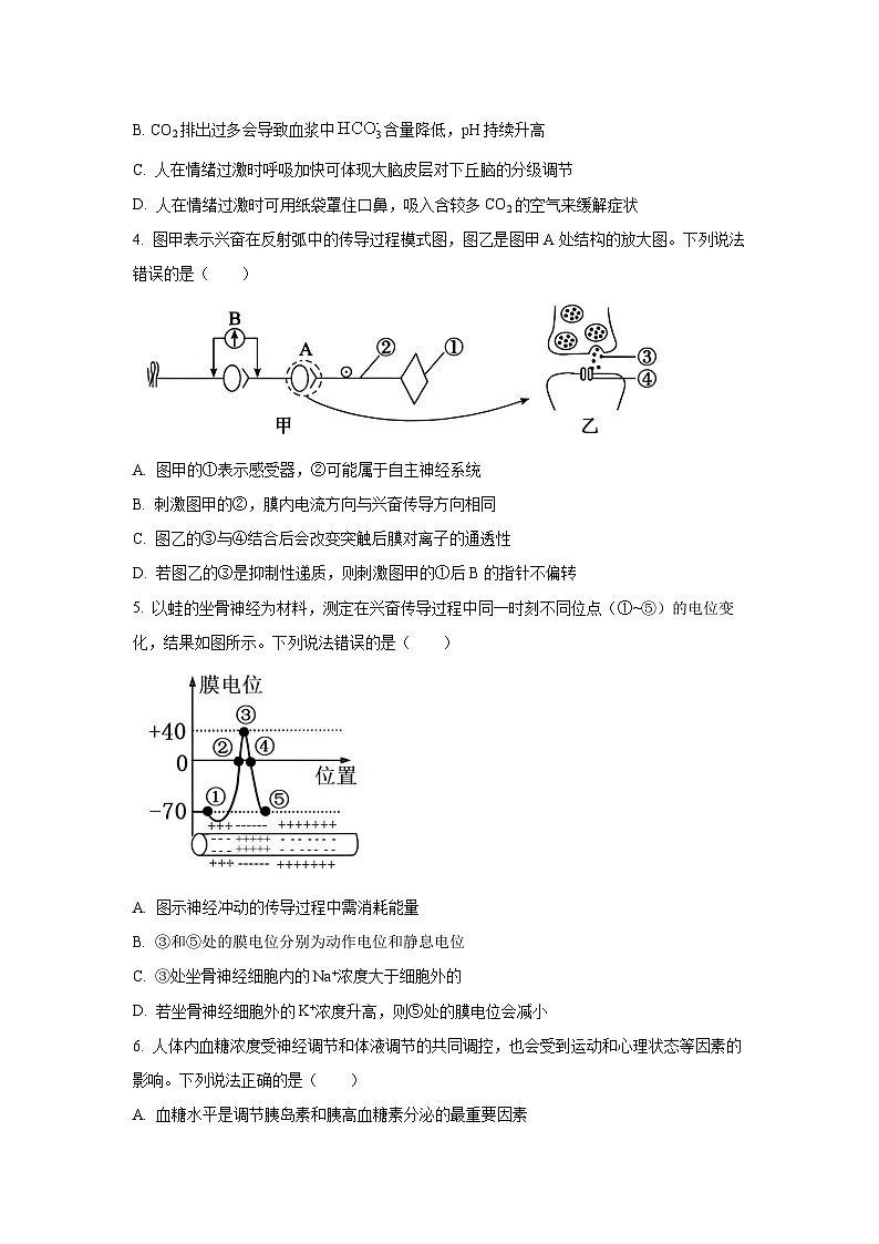 2025-2026学年山东省德州市优高联考高二上学期11月期中生物试卷（学生版）第2页