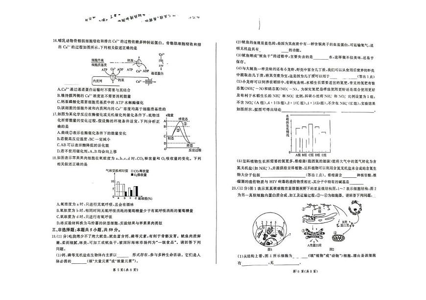 河北省承德市大教考2025-2026学年高一上学期12月联考生物试卷（PDF版附解析）第3页