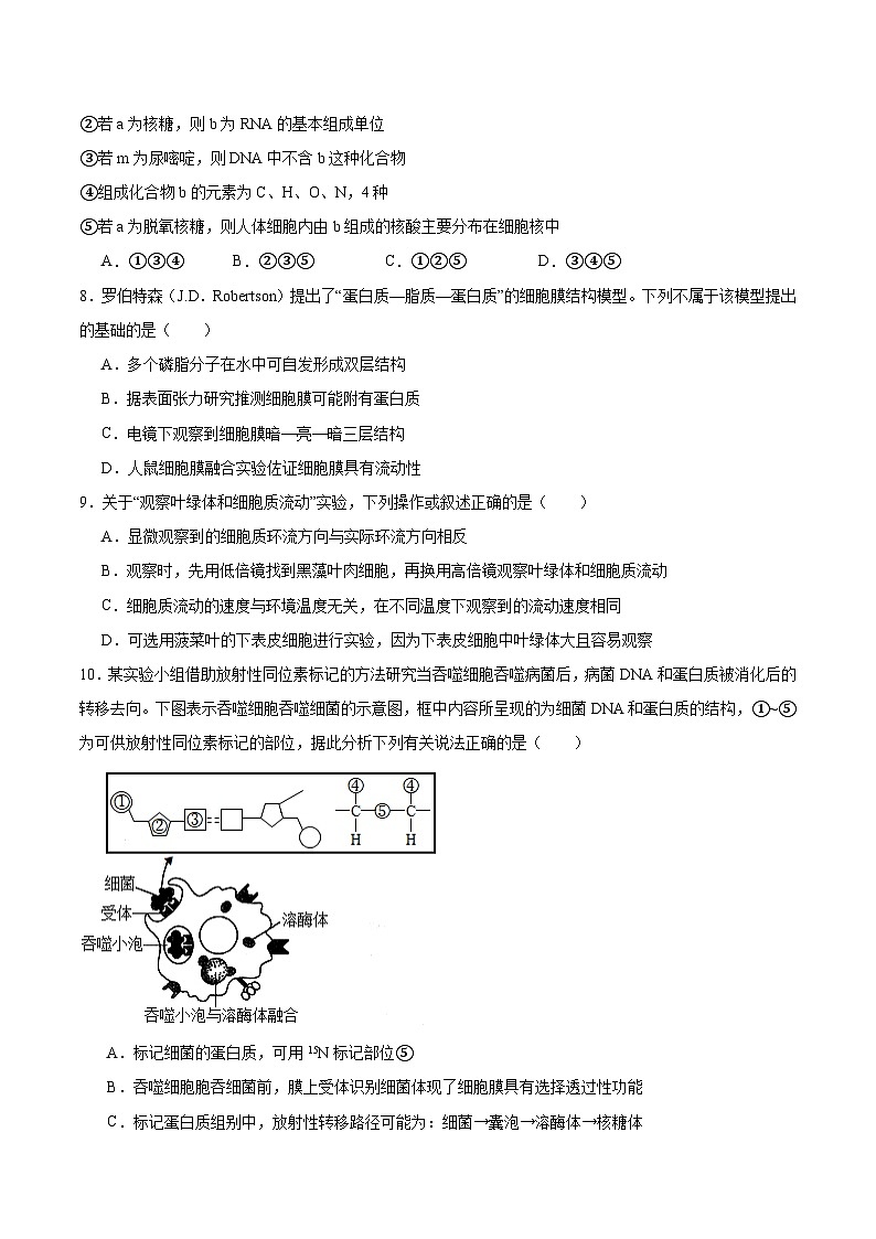 河南省部分高中2025-2026学年高一上学期12月联考生物试卷（Word版附答案）第3页