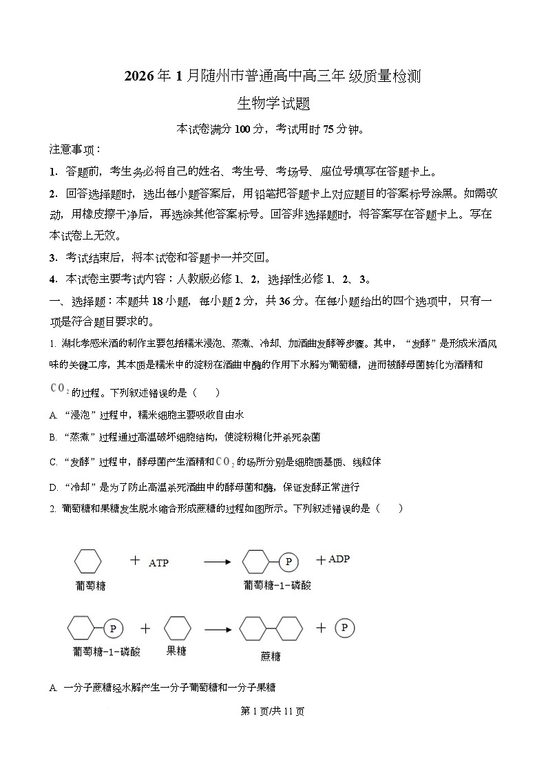 湖北省随州市2026届高三上学期1月期末生物试题（原卷版）第1页