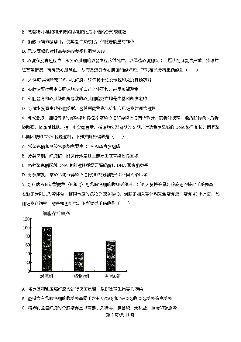 湖北省随州市2026届高三上学期1月期末生物试题（原卷版）第2页
