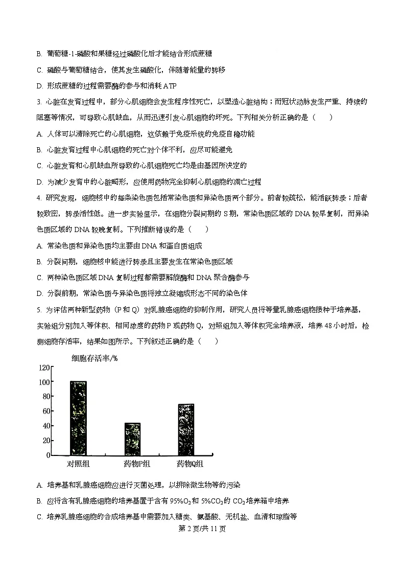 湖北省随州市2026届高三上学期1月期末生物试题（原卷版）第2页