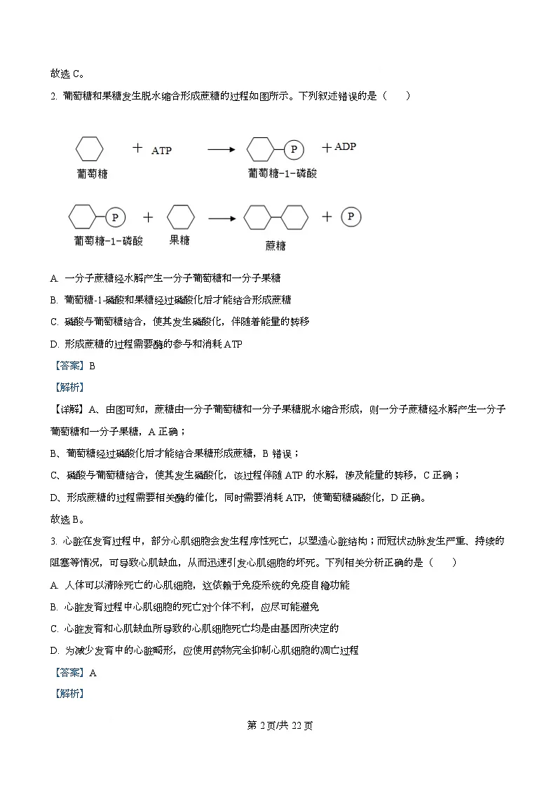 湖北省随州市2026届高三上学期1月期末生物试题 Word版含解析第2页
