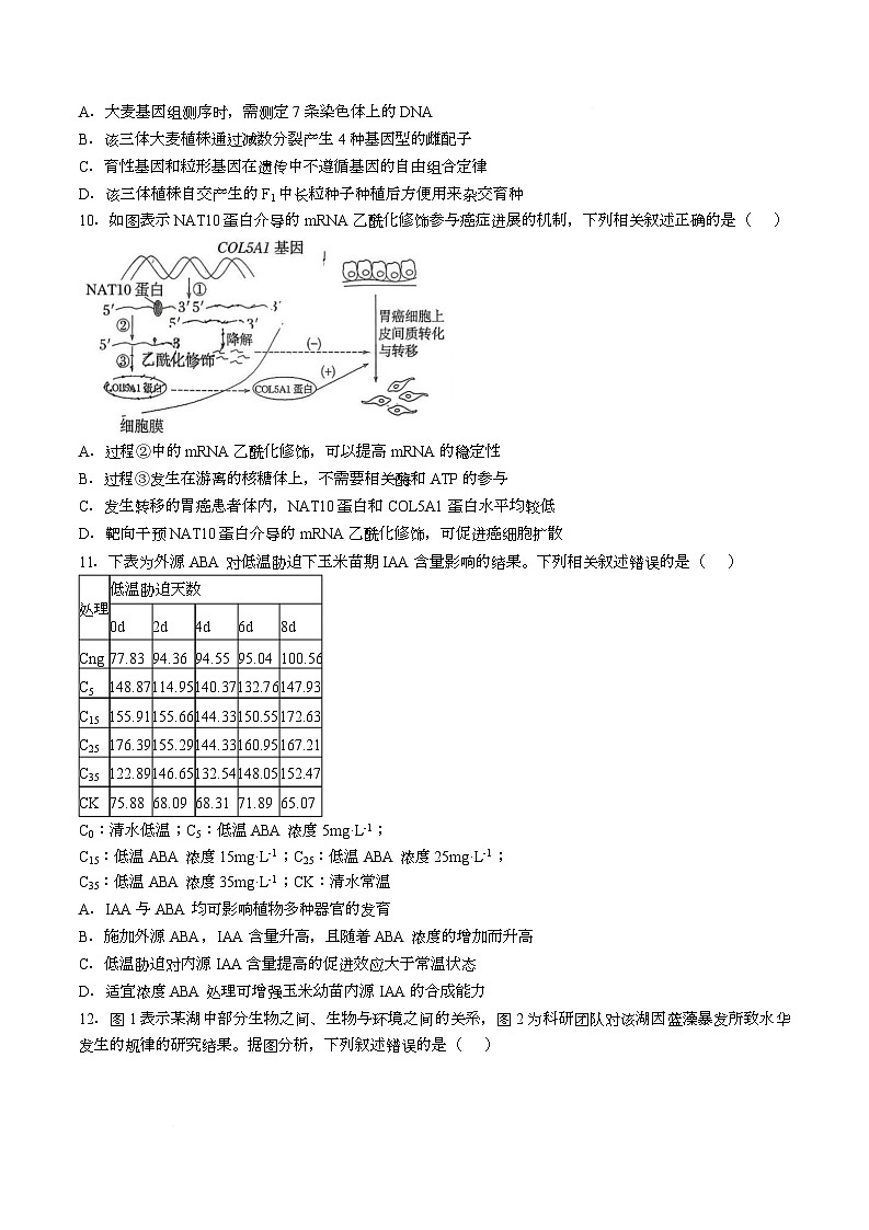 湖南省长沙市师大附中2026届高三上学期1月月考生物试卷（Word版附解析）第3页