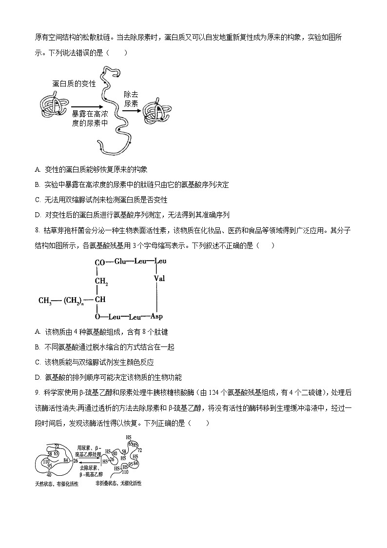 陕西省西安市部分学校联考2024-2025学年高一上学期11月期中生物试题  Word版无答案第3页