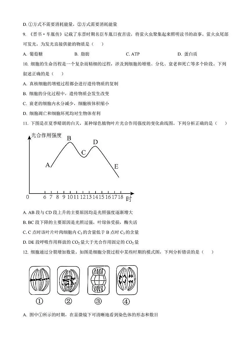 广西百色市2024-2025学年高一上学期1月期末生物试题 Word版无答案第3页