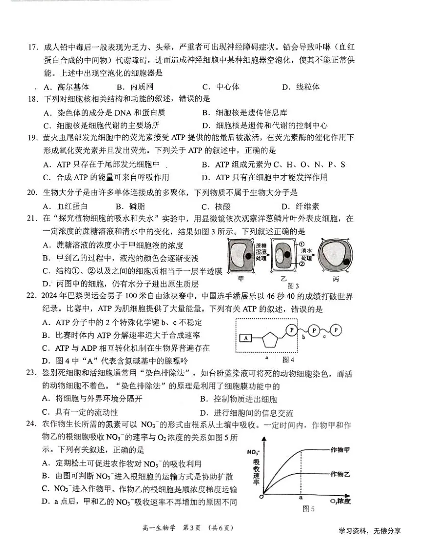 广西柳州市2024-2025学年高一上学期12月联考生物试题_扫描版无答案第3页