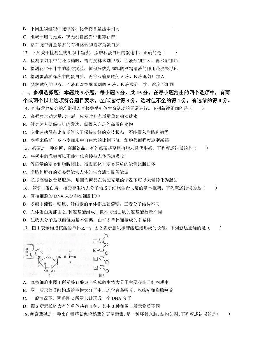 河南省青桐鸣2024-2025学年高一上学期10月联考试题 生物 PDF版含解析（可编辑）第3页